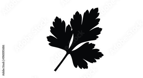 Black silhouette of a parsley sprig against a white background