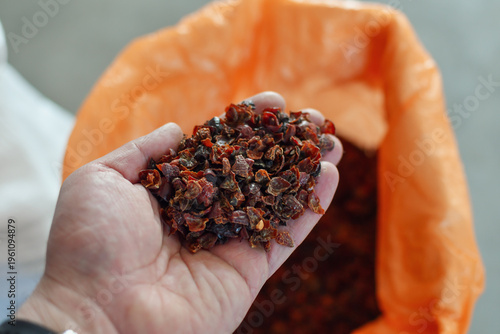 Hand holding dried organic rosehip peel in processing facility with bulk raw material in background