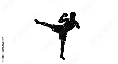 Silhouette of a martial artist executing a powerful roundhouse kick
