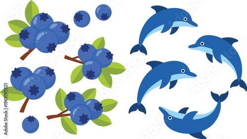 Flat vector illustration set featuring clusters of fresh blue blueberries with green leaves alongside a collection of playful blue dolphins jumping