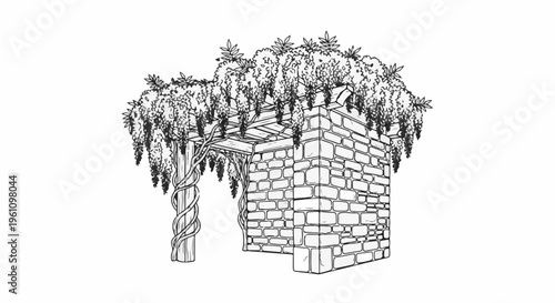 Stone pavilion covered in blooming wisteria vines, illustration