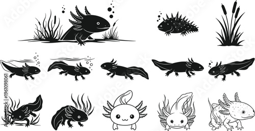 Cartoon axolotl illustrations, aquatic salamander vector, cute amphibian artwork, fantasy axolotl designs, swimming axolotl poses, whimsical creature, black and white drawing, exotic pet art