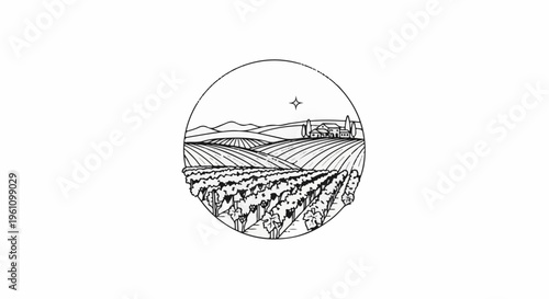Rural vineyard landscape with a distant house under a star-shaped sun