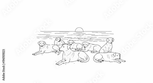 Several dogs rest on the beach as the sun sets over the ocean