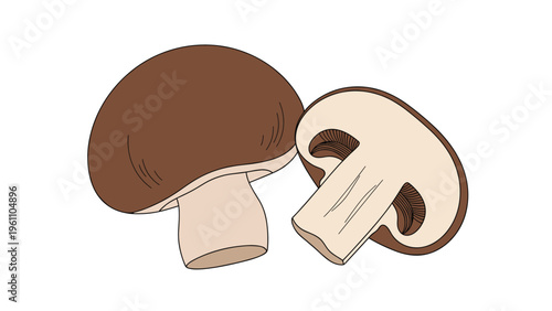 Two fresh brown mushrooms with one whole and one sliced vertically to show the internal gills and stem structure on a white background.