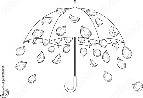 Line art illustration of an open umbrella with numerous delicate flower petals falling down and accumulating on its surface, symbolizing spring or autumn seasonality.