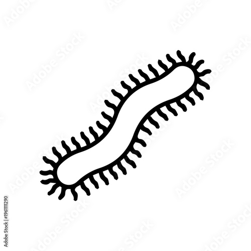 Bacteria cell illustration