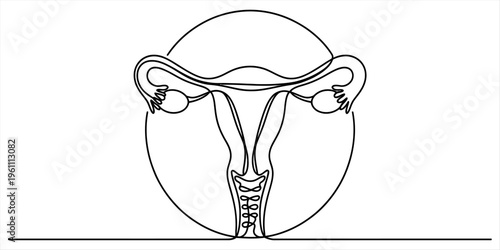 Continuous line drawing of the female reproductive system featuring the uterus and ovaries Vector, illustration