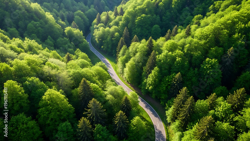 Aerial view of a winding road through a dense forest