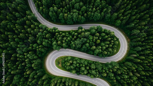 Aerial view of a winding road through a forest