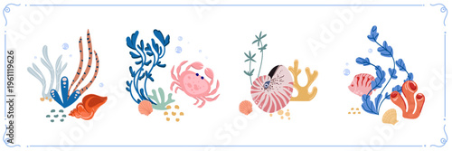 Underwater set with sea plants shells crab and marine elements colorful ocean illustration , design suitable for web design packaging patterns educational materials branding social media.Vector