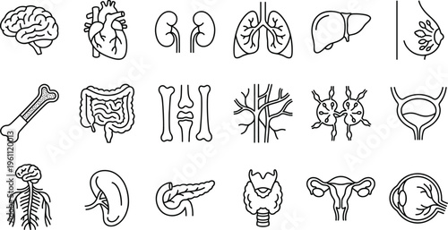 Outline icons of human anatomy and body systems, including brain, heart, lungs, bones, and organs