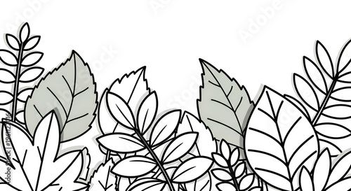 Minimalist botanical line art border, hand drawn autumn leaves outline illustration, black and white foliage banner for wedding invitations