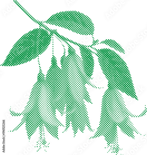Green leafy plant with long hanging tendrils and oval shaped leaves on a stem halved vector illustration in halftone dots style  green plant