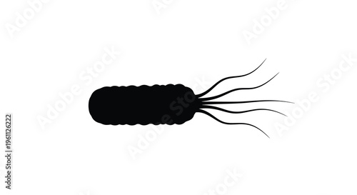 A striking black silhouette of a stylized insect with long antennae