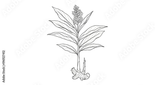 Detailed illustration of a plant stem.