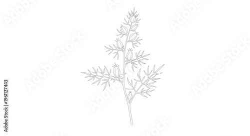 Detailed drawing of a plant stem.