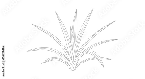 Drawing of a plant with leaves.