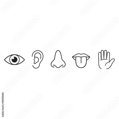 Five human senses icon vector