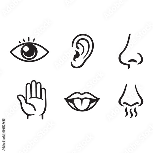 Five human senses icon vector