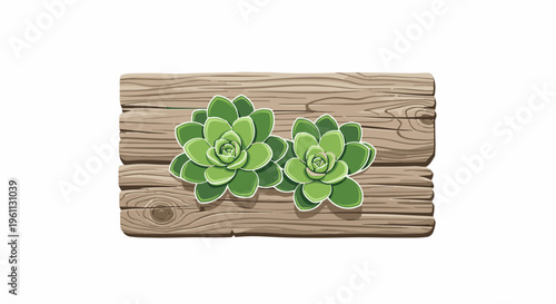 Two succulent plants resting on a wooden plank background