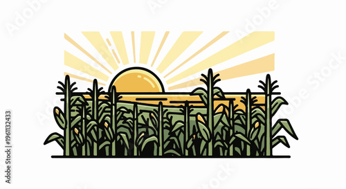 Sunny sunrise over a lush green cornfield with ripening ears of maize