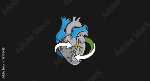 Stylized heart with circulating arrows representing blood flow or vital processes