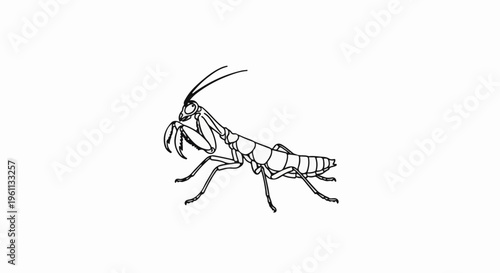 Stylized line drawing of a praying mantis on a white background