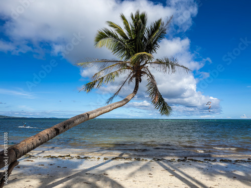 Quadro su tela A picturesque leaning palm tree frames a tropical Boracay beach scene