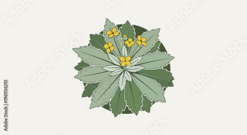 Stylized illustration of a green plant with small yellow flowers