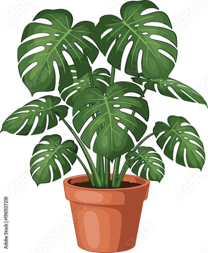 Vector illustration of Monstera deliciosa potted plant with large glossy green leaves, tropical houseplant design, decorative foliage artwork for interior decoration and botanical themes
