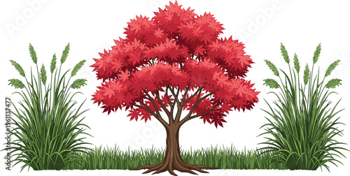 Fotografía Vector illustration of Japanese maple tree with bright red leaves, brown trunk, and surrounding green grass, decorative botanical artwork highlighting natural contrast and vibrant foliage