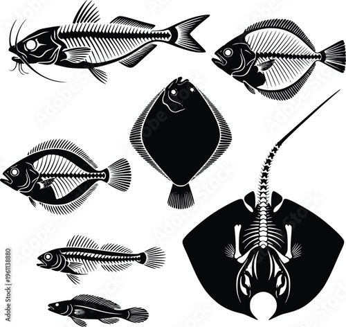 A black and white illustration of various fish species swimming together