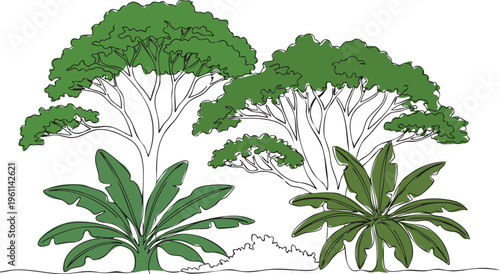 Minimalist Single Line Art of Tropical Jungle Plants with Tall Acacia Style Trees and Wide Banana Leaf Palms, Organic Botanical Vector Illustration