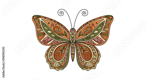 Colorful Butterfly with Open Wings.