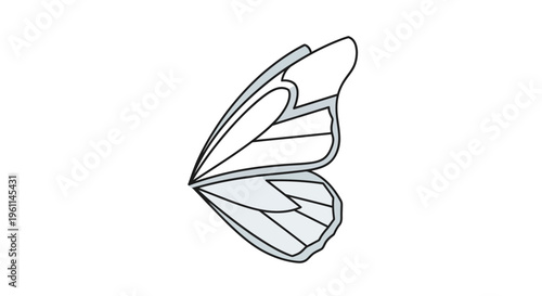 Butterfly Wing Insect Animal Closeup.