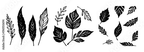 Handmade ink stamp leaves set with isolated black and white leaf blots featuring ink stamps, forest leaves, texture with monochrome and high detail