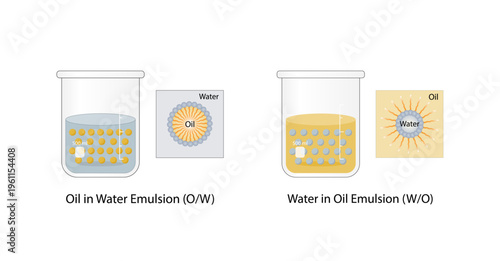 Emulsion types, a mixture of two immiscible liquids (oil and water), Emulsion oil in water, water in oil Immiscible liquids. Emulsifier types, structure. Vector illustration..