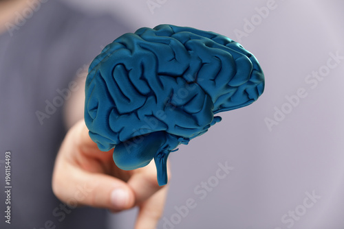 Close-up of a human brain m...