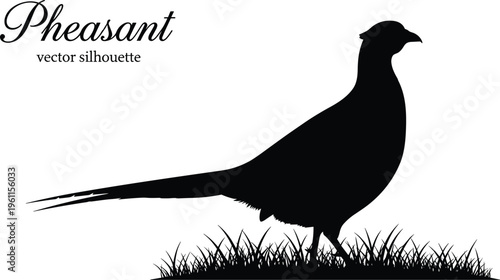Black silhouette pheasant standing on grass vector illustration, elegant bird profile design for nature, wildlife, hunting, and decorative artwork
