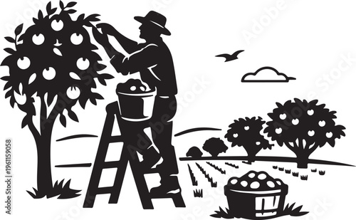 Fruit orchard ladder harvest pose black vector