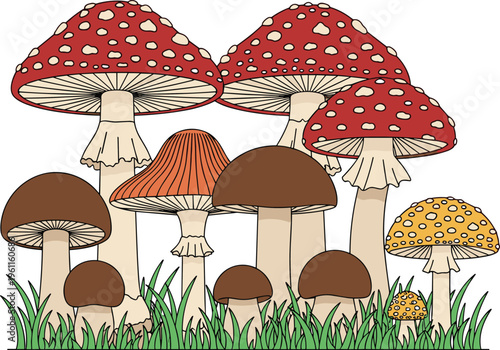 Colorful Mushroom Group with Red Amanita and Brown Porcini Fungi in Green Grass Vector Illustration Isolated on White Background for Design