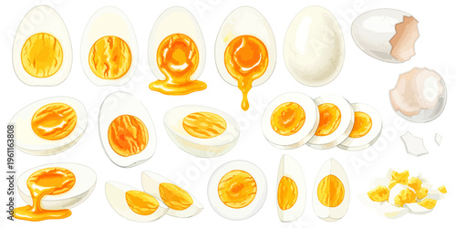 ゆで卵のイラストセット,半熟,固茹で,スライス,殻付き,料理・食材素材