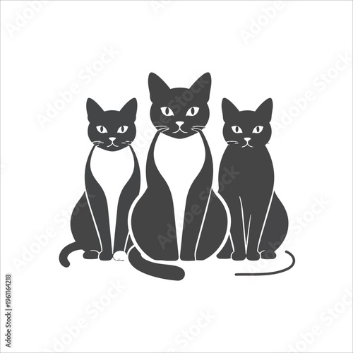 black and white cats