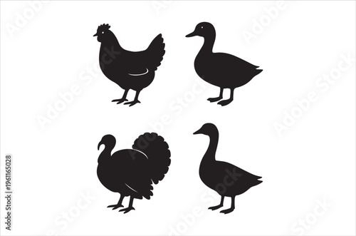 Silhouettes of a chicken duck turkey and goose in a simple graphic style