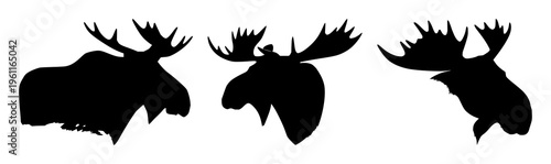 Moose head silhouette set with bold black outline minimalistic design featuring wildlife, ungulate, nature illustration with forestry and conservation
