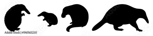 Platypus silhouette set with black geometric outline design featuring wildlife animal, unique aquatic mammal, adorable creature with simple monochrome and nature and fauna