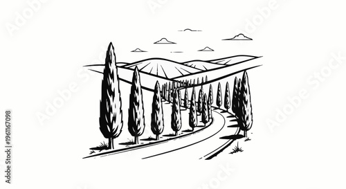 Winding road lined with tall trees leads to rolling hills and clouds