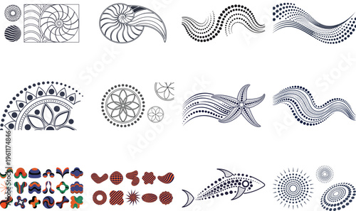 Various shell and fish with geometric patterns shells nautilus starfish