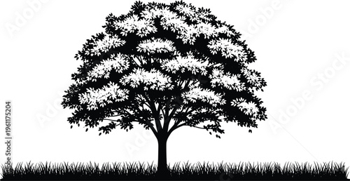 Silhouette of large leafy tree with angled measurement line across grass field, educational trigonometry geometry concept illustration design